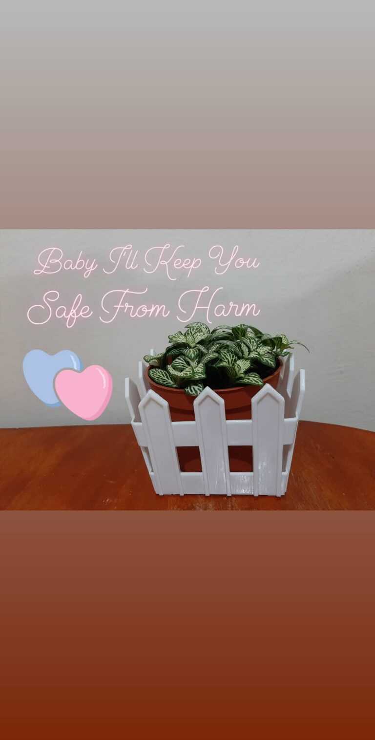 Hey! Brave heart 💙