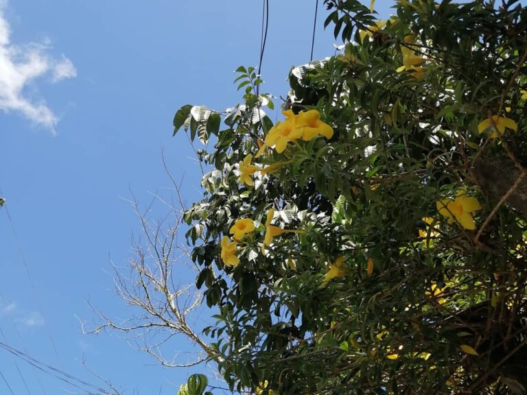 Hanggang pangarap lang ba talaga kita?