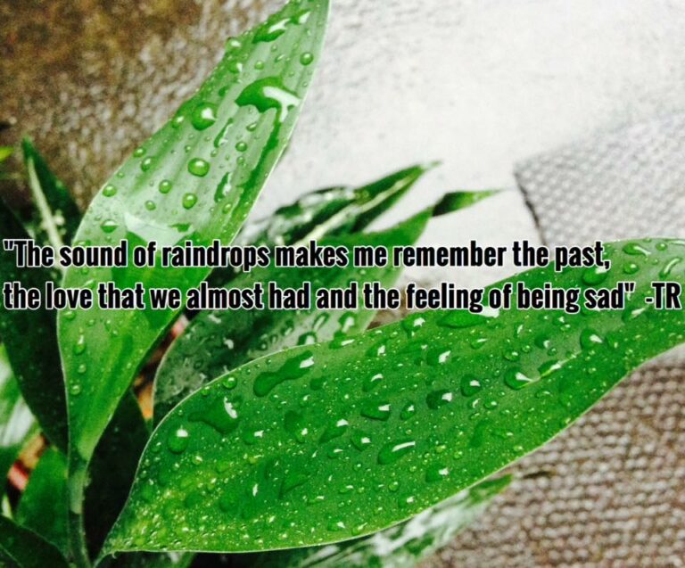 Kaya Pala, Ikaw Pala -TR