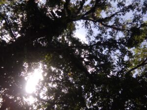 SA UNA AT HULI KONG IIBIGIN Ni: LEON SANTIAGO