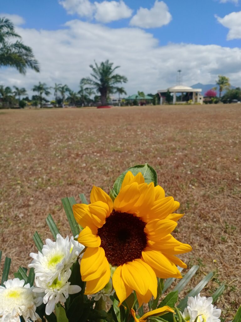 Beloved Flower