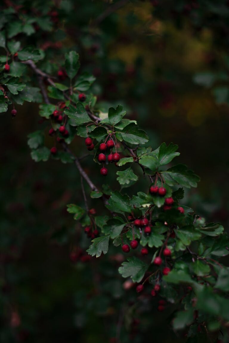 Trust the Process: At the Right Time, God Will Send the Right One