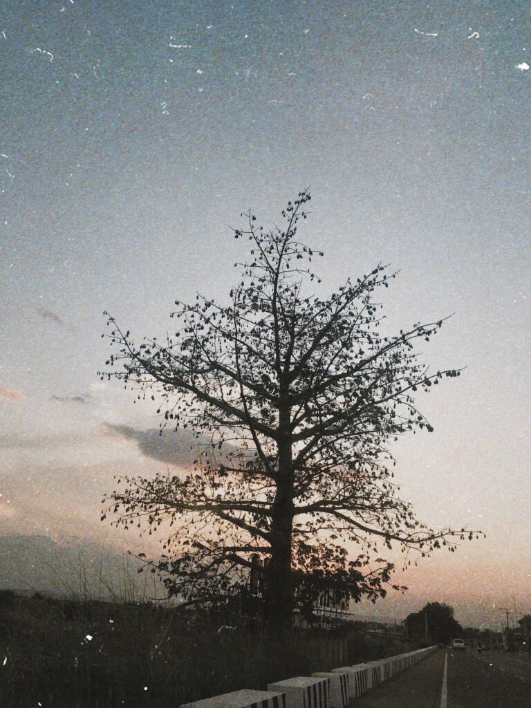 Everything must Go, so everything can Grow.