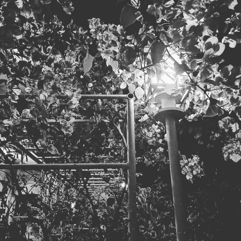 Para sa Paborito Kong Siyempre