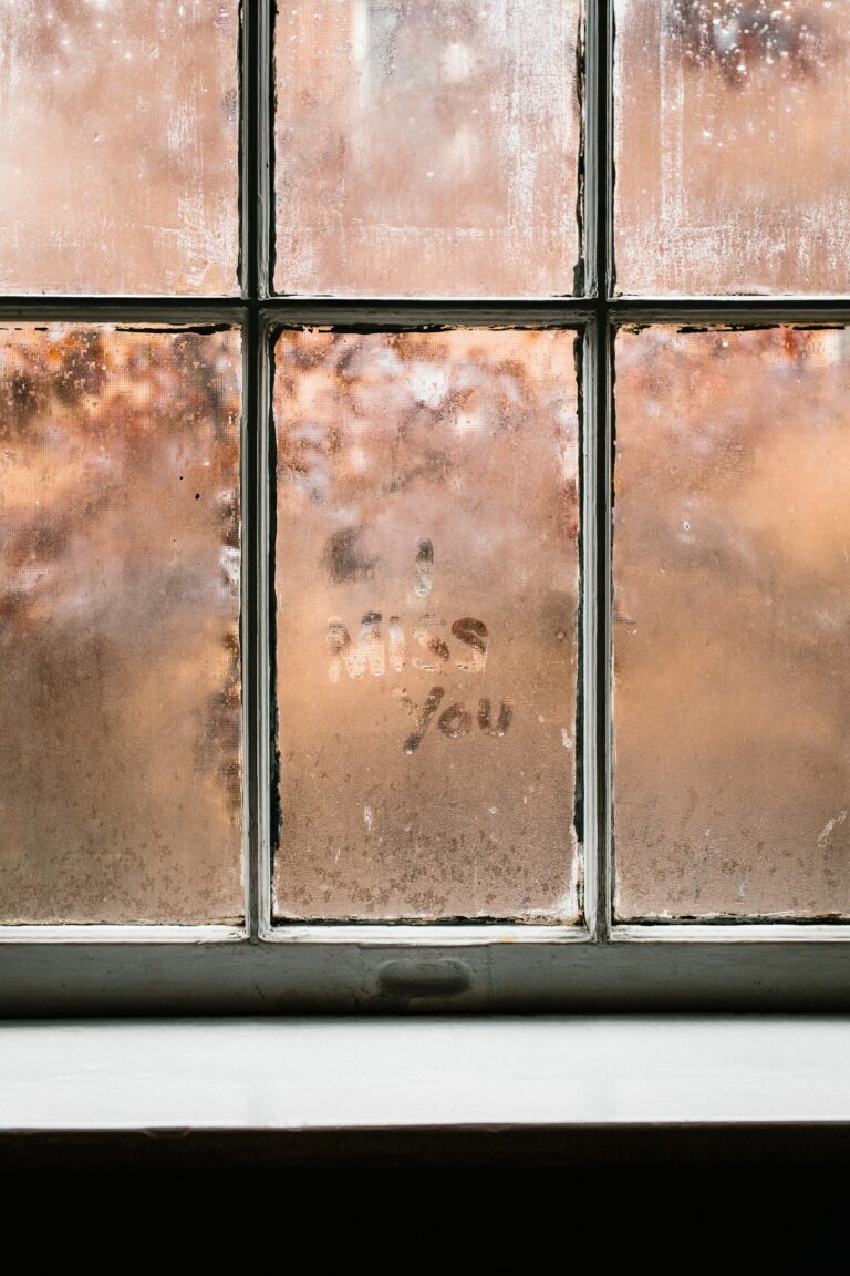 Letter to my Almost lover