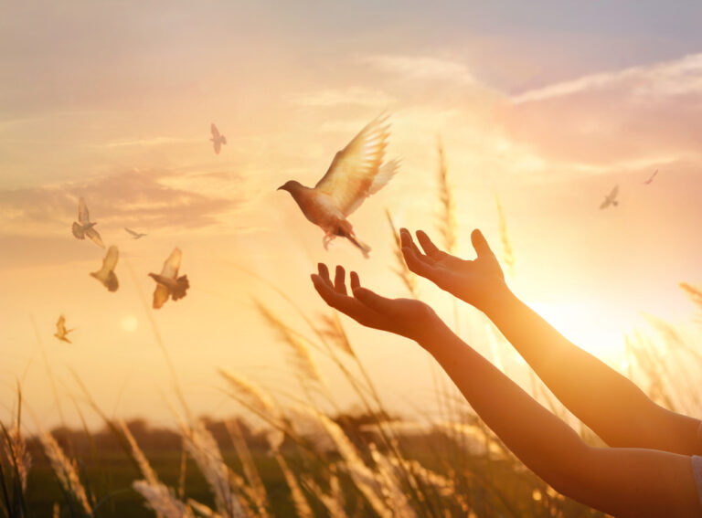 How do you forgive a person who never asked for one?