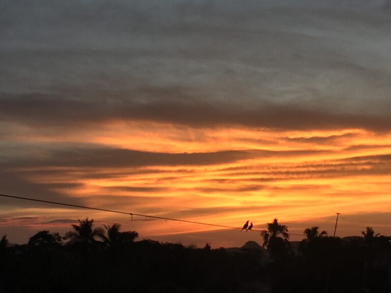 To my future husband