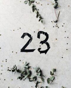 23