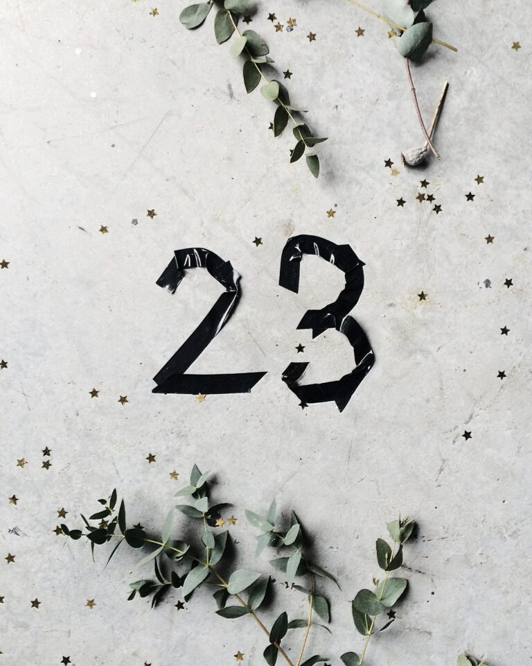 23