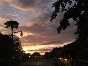 An Open Letter To the Undecided