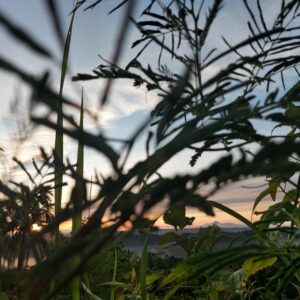 NAKAKATAKOT BUMAGSAK SA MUNDONG ANG TANGING NAIS AY MAKAAHON