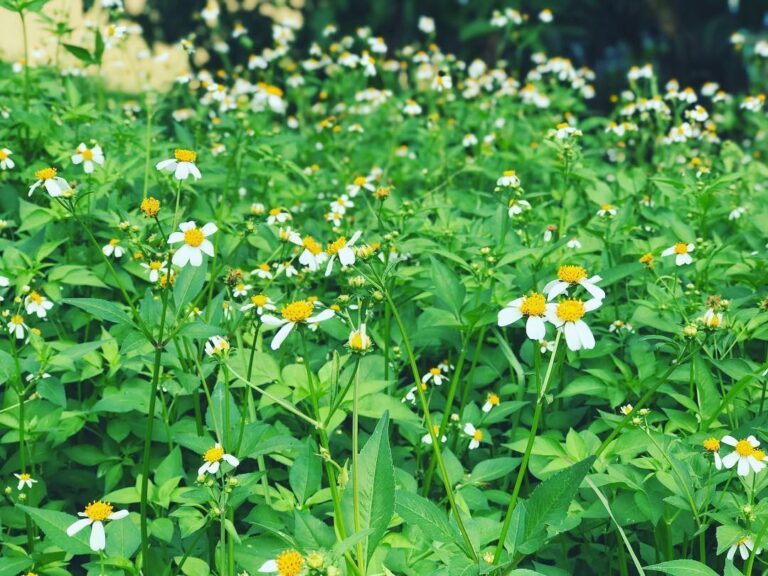 For the last time…