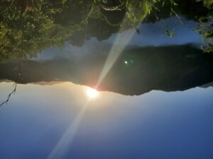 Word for the day. TREND.