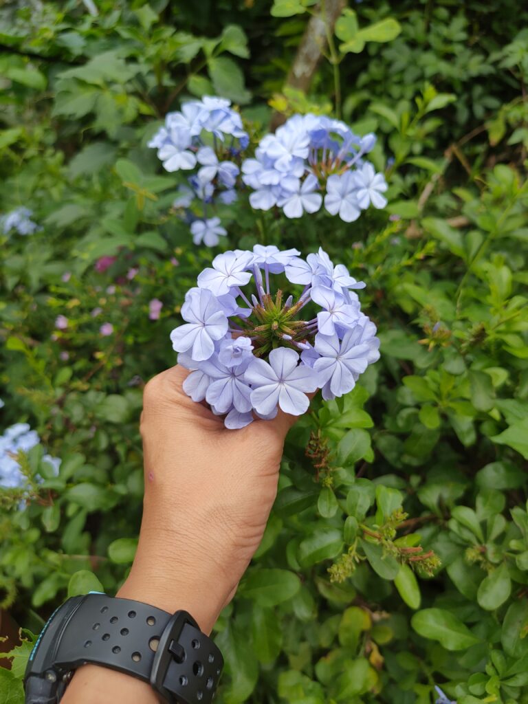 Para sa mga hindi OKAY.