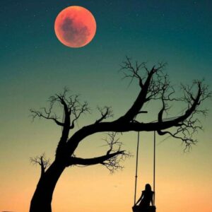 Let’s walk away…