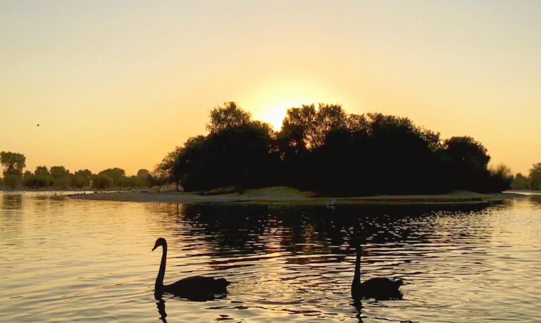 We are bound to last