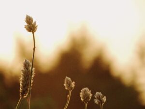 Why We Keep Our Hearts Open