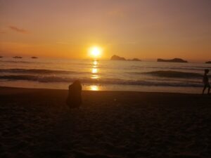 The One That Got Away?