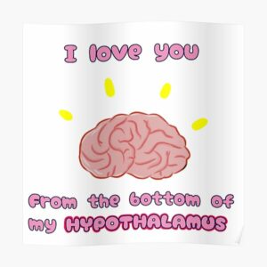 I Love You From The Bottom of My Hypothalamus