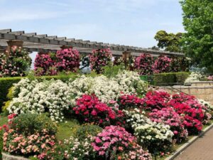 To the Man I have yet to Meet