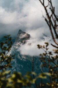 Searching….