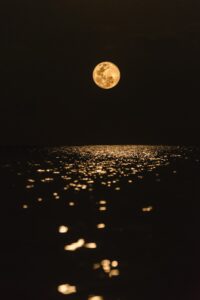 MOON LOVER