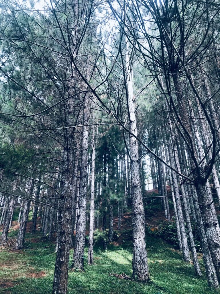 Even When It’s Not The Same Anymore