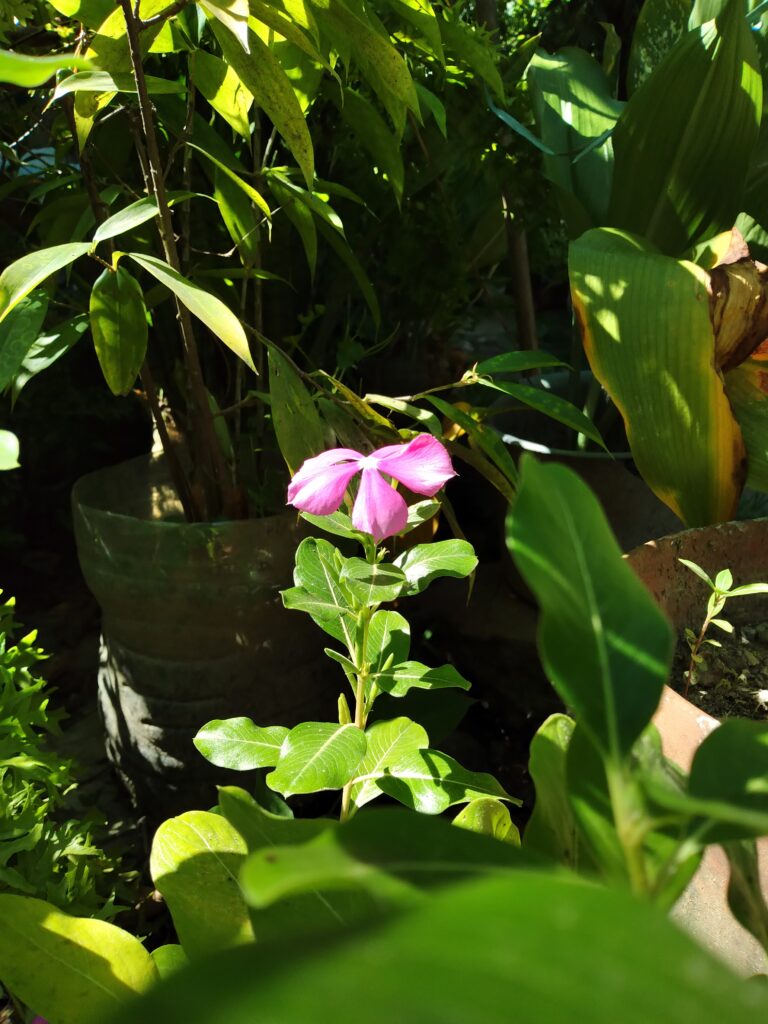 A simple sentiment in life