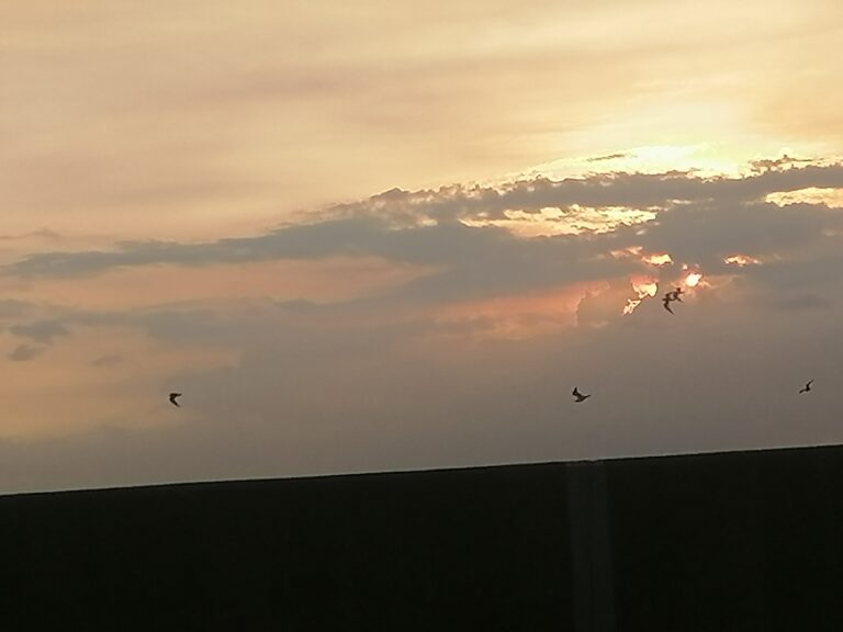 To Someone That I Used to Know