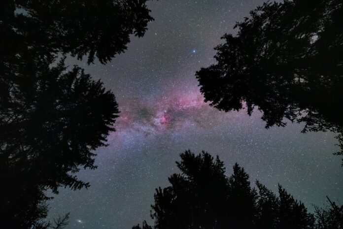 evgeni-tcherkasski-bao8WXkifXI-unsplash