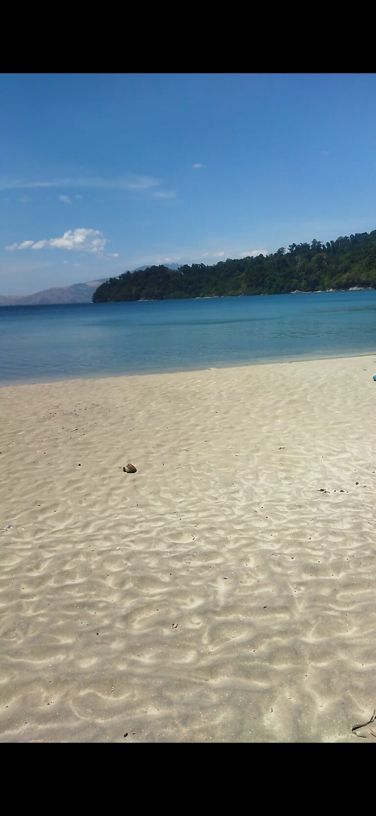 “Sa Susunod na Habang Buhay…”