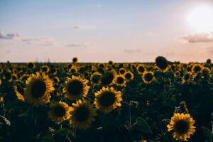 Don’t despise our now moments