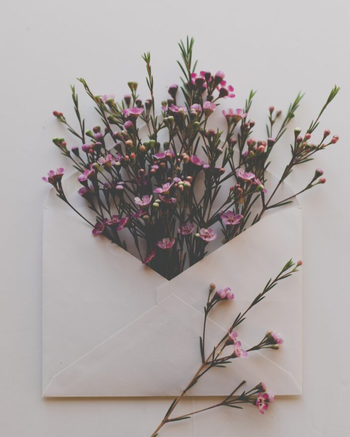 sixteen-miles-out-TiIvuqNnT4Y-unsplash