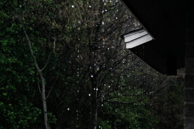 Rain