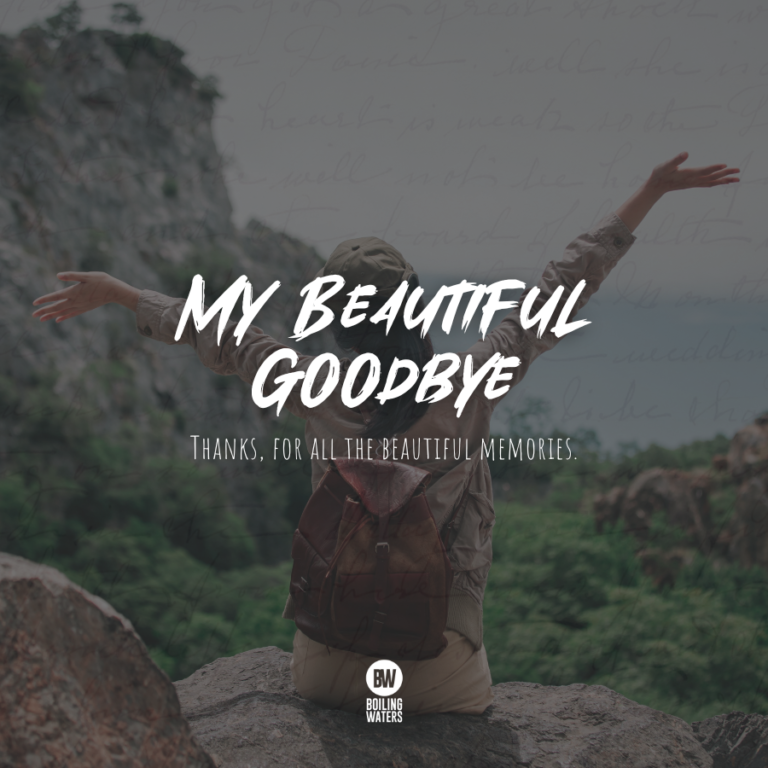 My beautiful goodbye