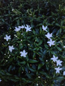 Mga Sinayang na Oras